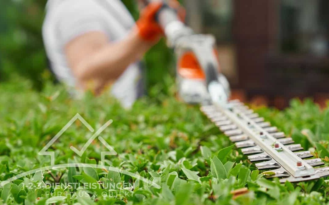 Gartenpflege Wuppertal: Jahresplan für Eigentümer und Hausverwaltungen